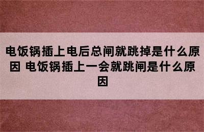 电饭锅插上电后总闸就跳掉是什么原因 电饭锅插上一会就跳闸是什么原因